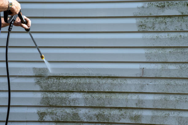 Best Demolition Debris Removal  in Bellflower, CA